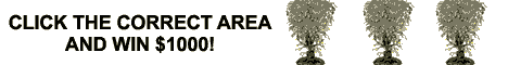 tl_ban2.gif (3785 bytes)