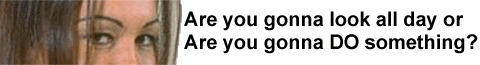 wink.gif (53211 bytes)